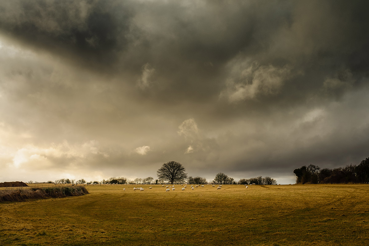 Storm coming?  Be prepared!  5 tips to help you get ready.